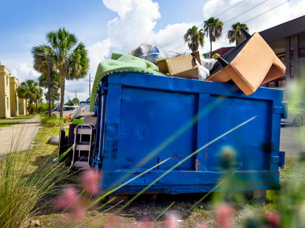 Best Affordable Junk Removal Services  in Avoca, PA